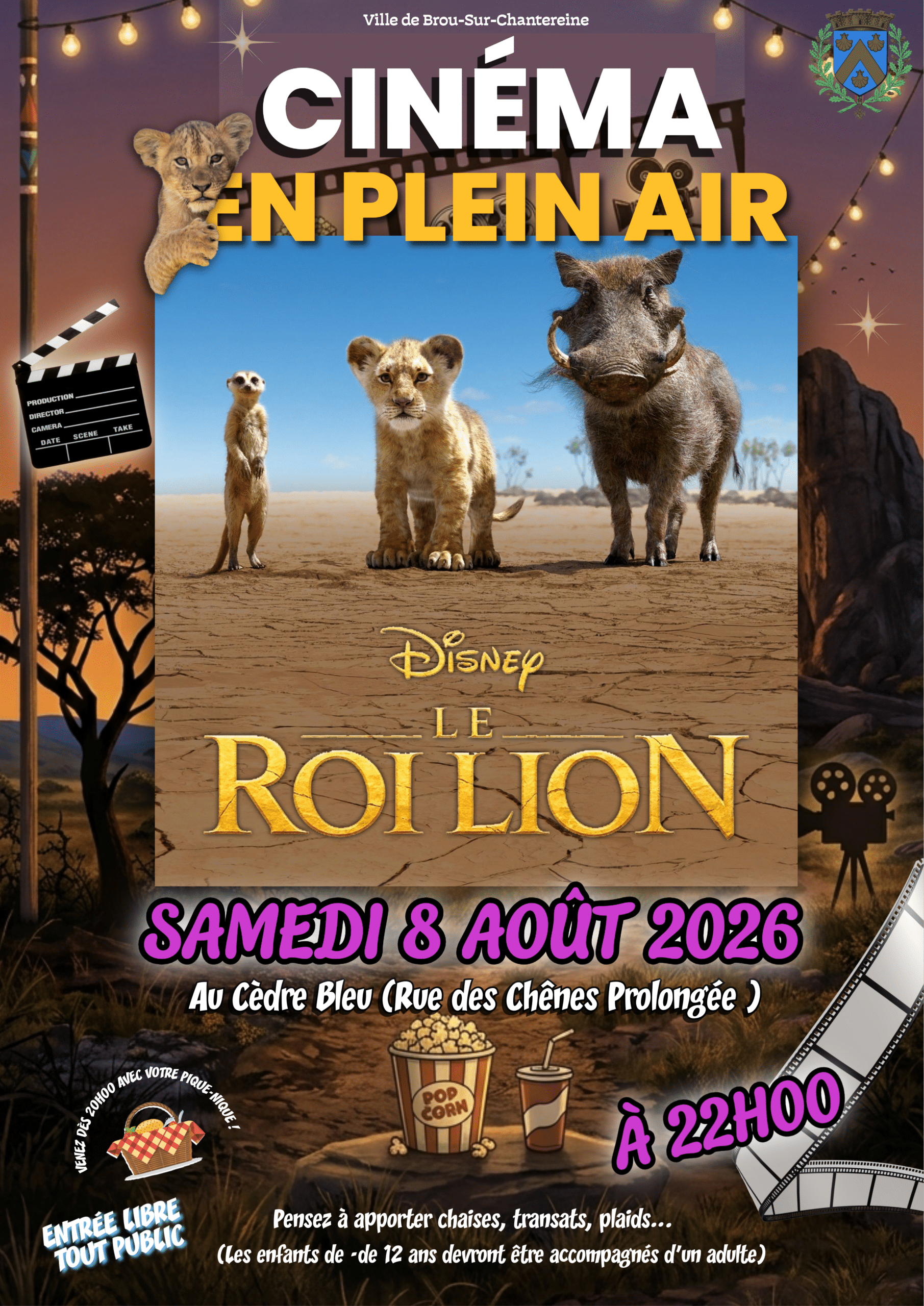 Cine plein air le roi lion(1)